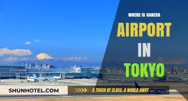 Haneda Airport: Tokyo's Gateway to the Sky