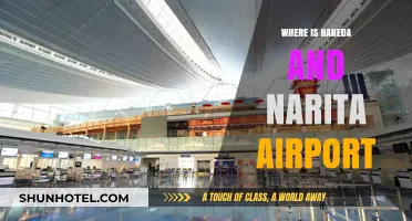 Haneda and Narita: Tokyo's Airports and Their Locations