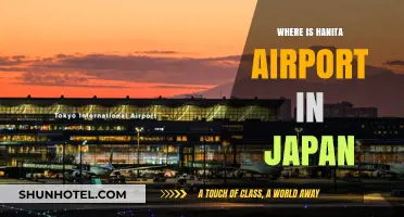 Hanita Airport: Japan's Unique Aviation Gateway