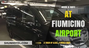 Hertz at Fiumicino: Finding the Rental Desk