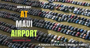 Maui Airport Car Rentals: Finding Hertz