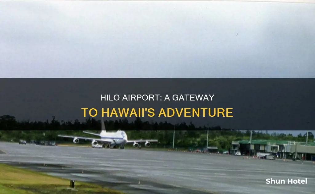 where is hilo airport in hawaii