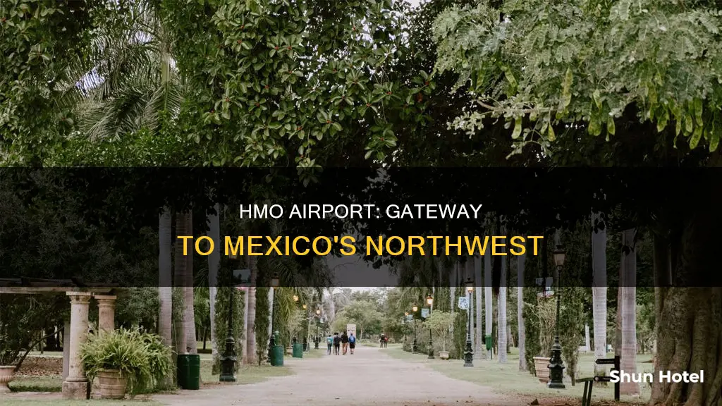 where is hmo airport in mexico