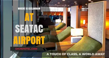 Icelandair's Seattle Gateway: Where to Find Them at Sea-Tac Airport