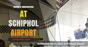 Immigration at Schiphol: Where and How to Navigate