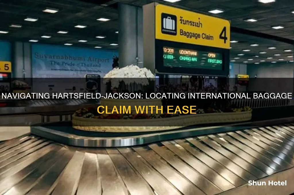 where is international baggage claim at hartsville jackson airport