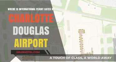 Navigating Charlotte Douglas: Locating International Flight Gates with Ease