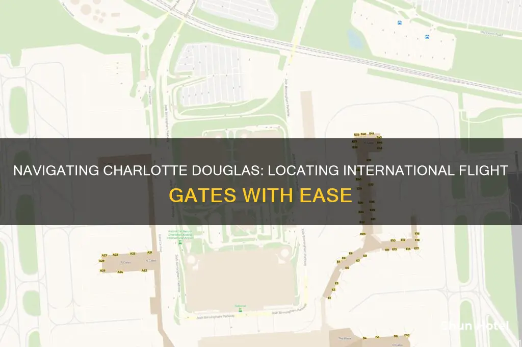 where is international flight gates at charlotte douglas airport