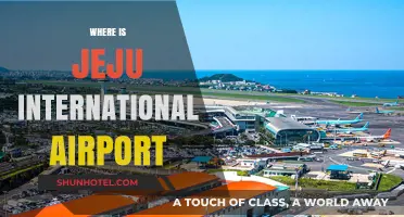 Jeju International Airport Location: A Quick Guide to Finding It