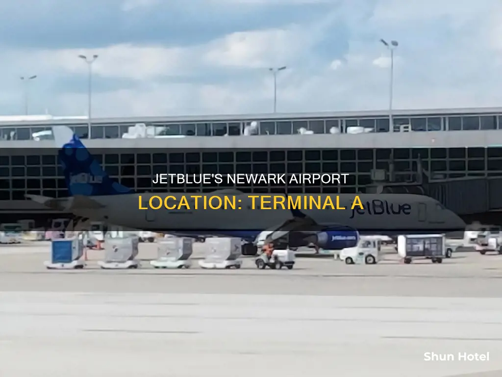 where is jetblue at newark airport
