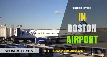 JetBlue's Boston Base: Terminal C at BOS