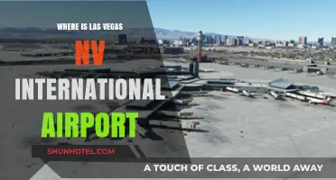 Las Vegas NV International Airport: Location and Travel Guide