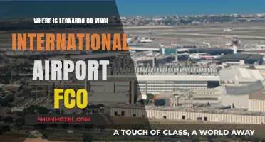 Leonardo da Vinci Airport FCO: Location and Travel Guide