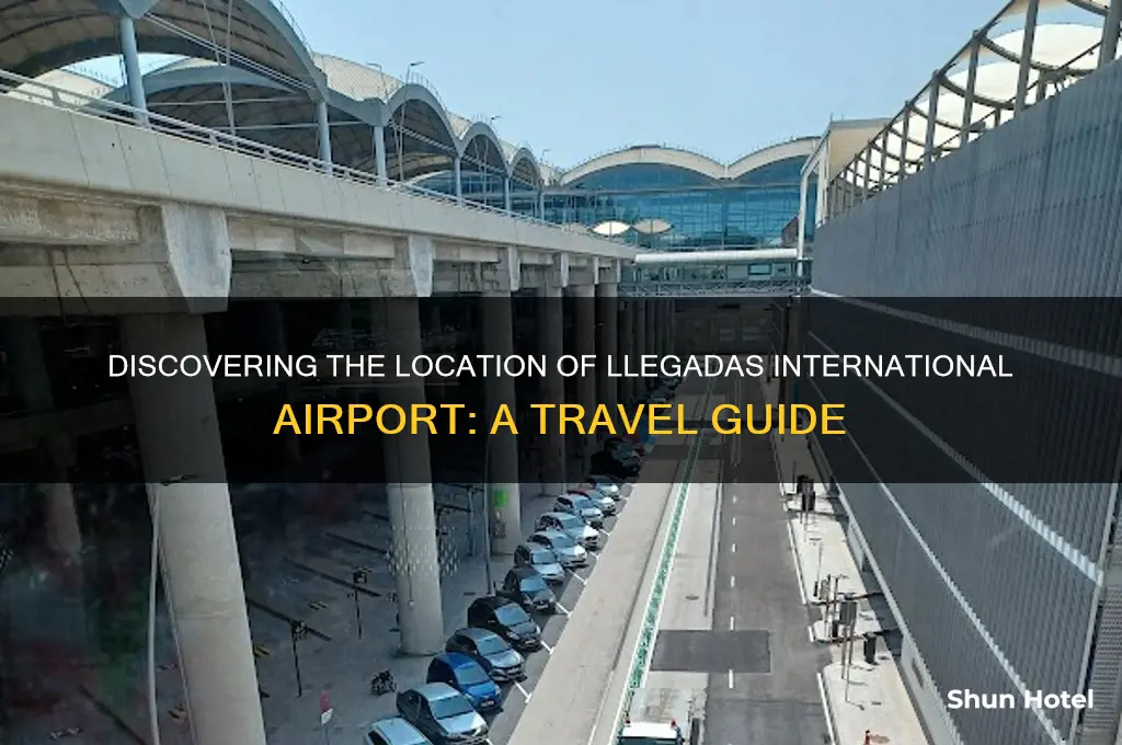where is llegadas international airport
