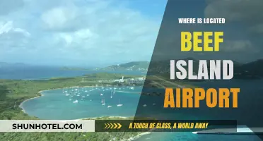 Beef Island Airport: Location and Travel Guide