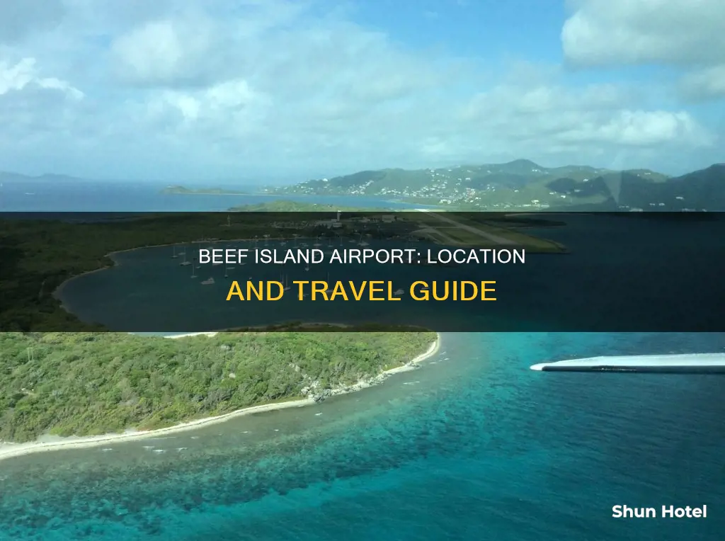 where is located beef island airport