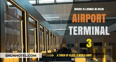 Discovering Delhi Airport Terminal 3's Hidden Lounge Gems