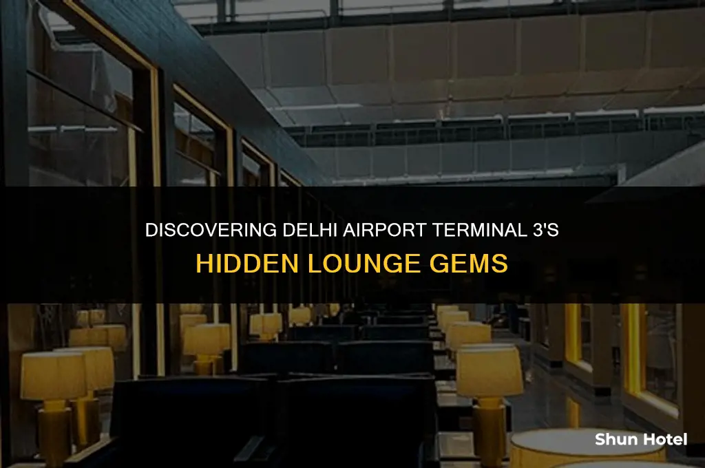 where is lounge in delhi airport terminal 3