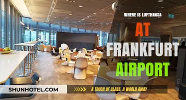 Lufthansa's Frankfurt Airport Hub: Where to Find Them