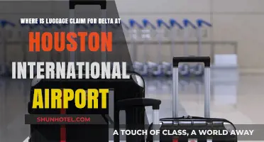 Delta Luggage Claim Location at Houston International Airport: A Quick Guide