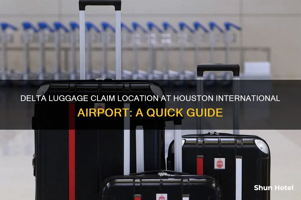 where is luggage claim for delta at houston international airport