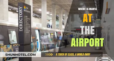 Marta's Airport Adventures: Where is She Now?