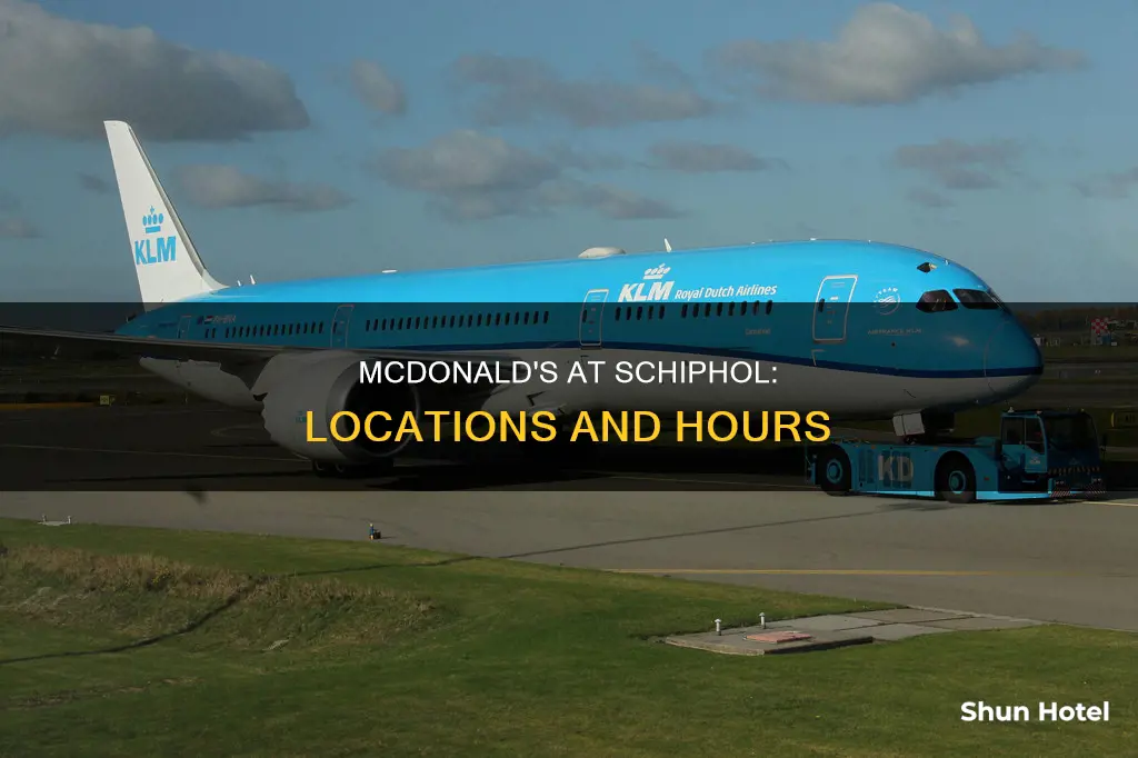 where is mcdonalds in schiphol airport