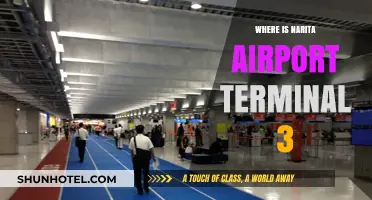 Navigating Narita: A Guide to Finding Terminal 3