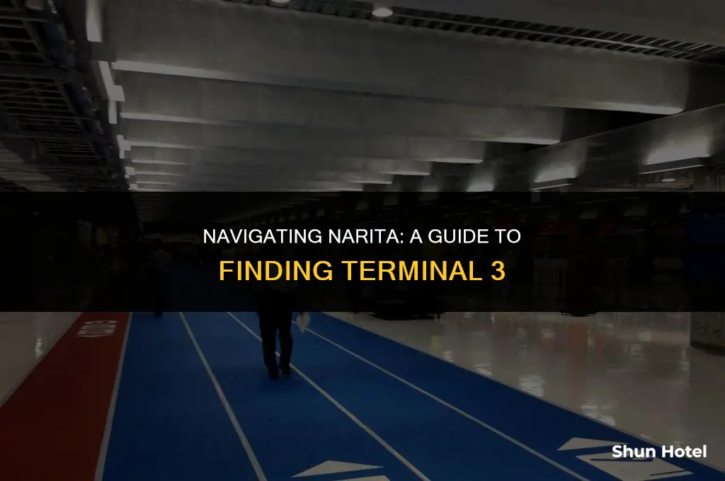 where is narita airport terminal 3