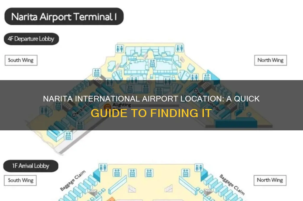 where is narita international airport located