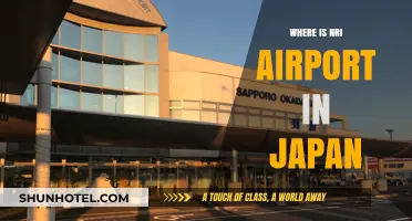 Nari Airport: Japan's Northern Gateway