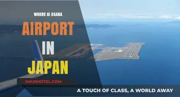 Osaka Airport: A Gateway to Japan's Cultural Hub