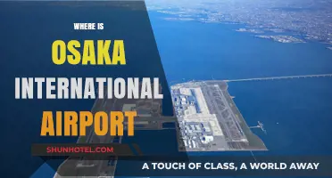 Discovering Osaka International Airport's Exact Location and Travel Tips