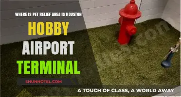 Where to Find Pet Relief Areas at Houston Hobby Airport Terminal