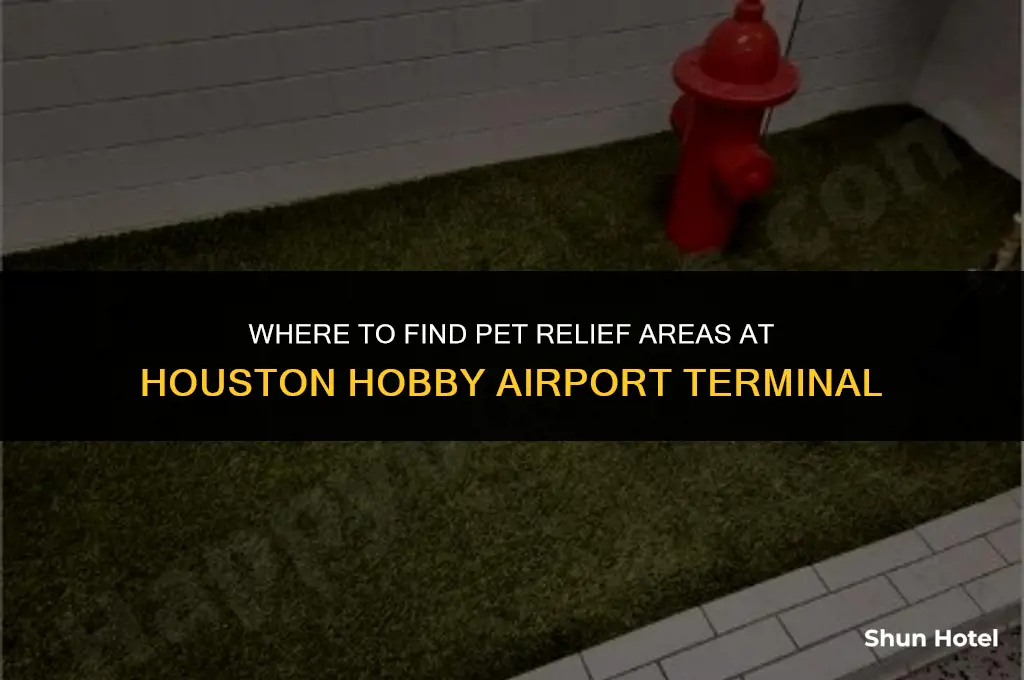 where is pet relief area is houston hobby airport terminal