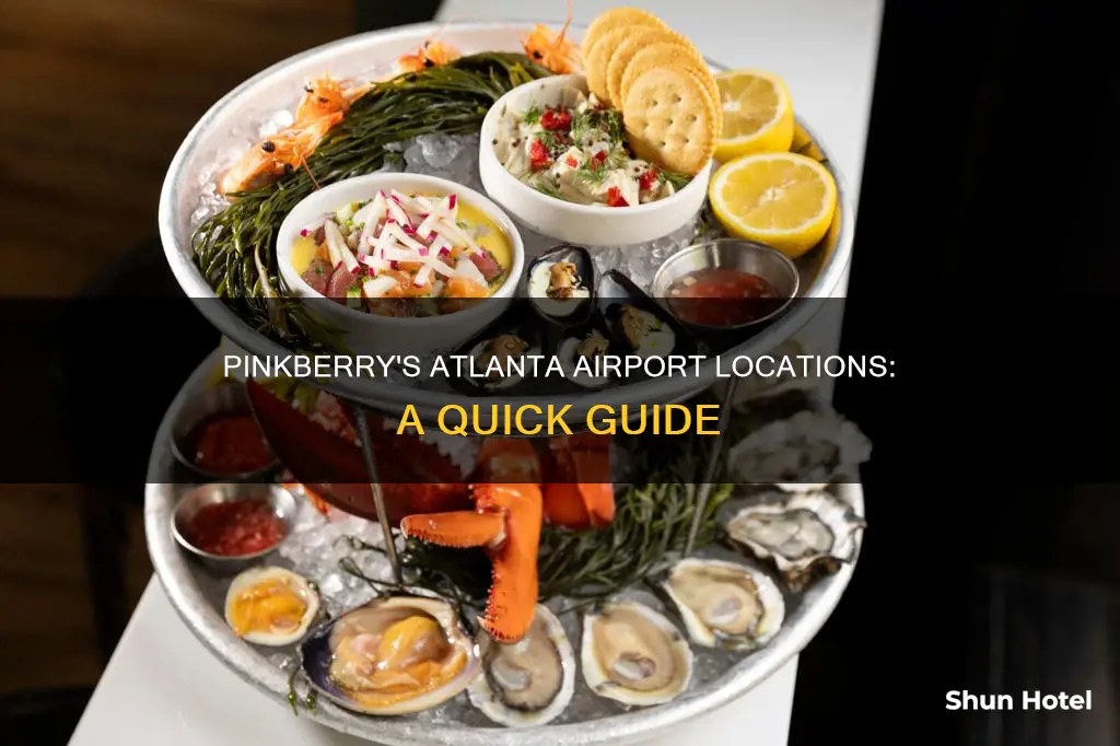 where is pinkberry in atlanta airport