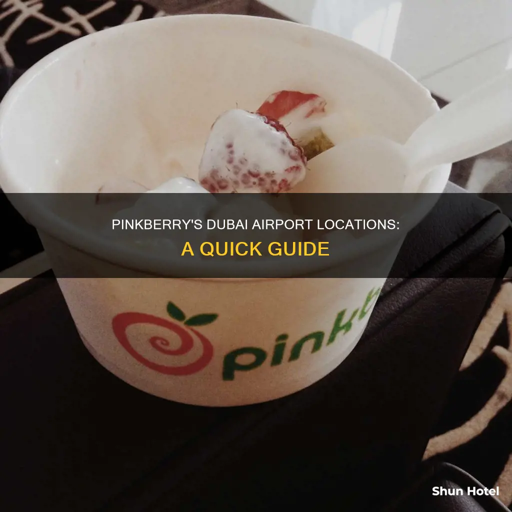 where is pinkberry in dubai airport