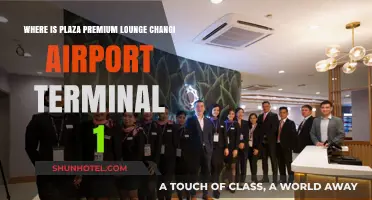 Discovering Comfort: Plaza Premium Lounge at Changi Airport Terminal 1