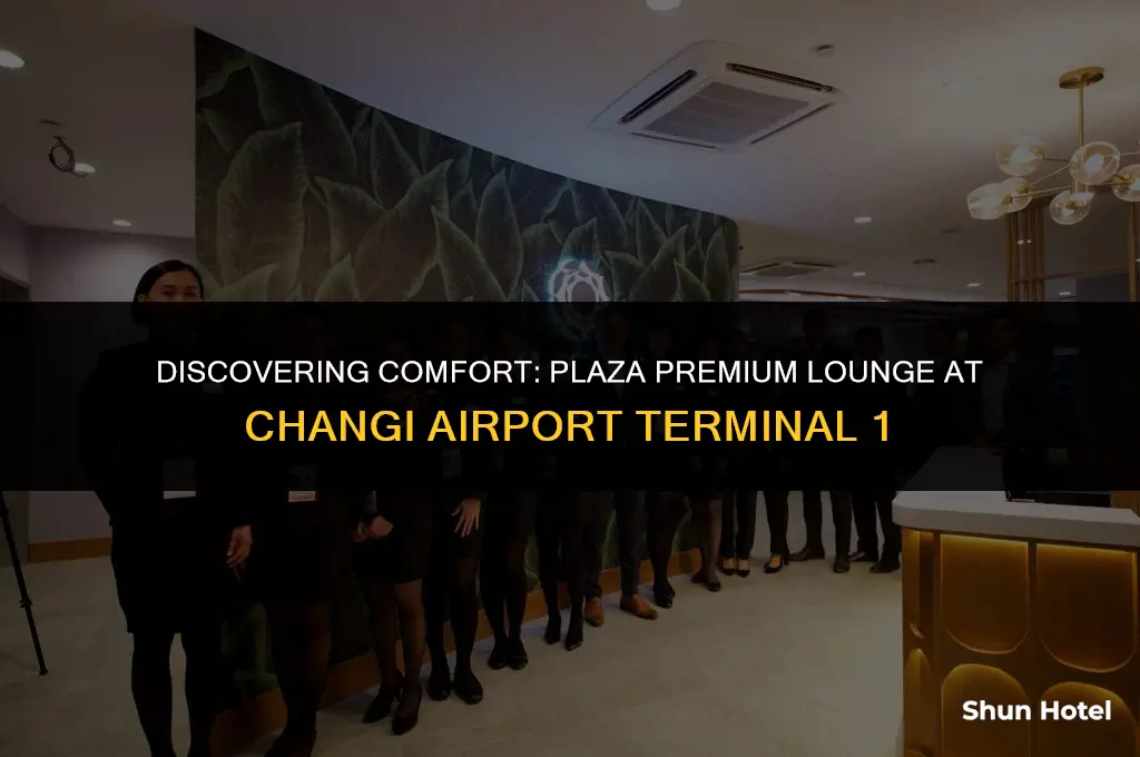 where is plaza premium lounge changi airport terminal 1