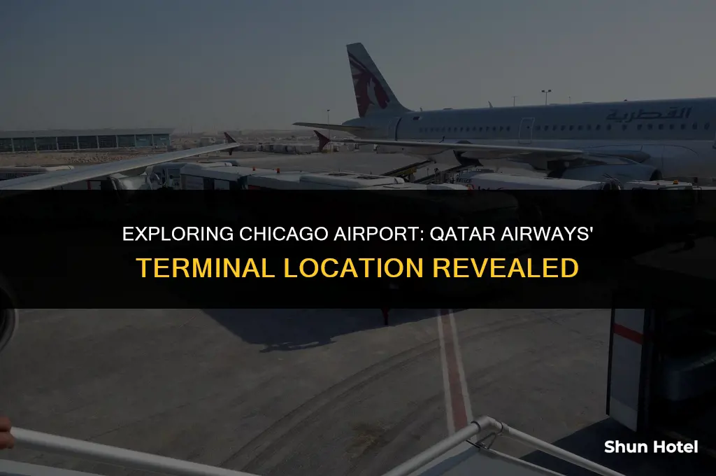 where is qatar airlines in chicago airport what terminal