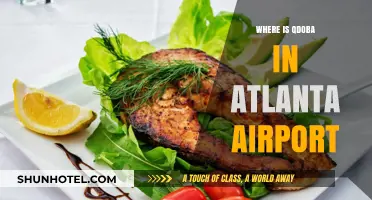 Explore Qdoba's Atlanta Airport Location
