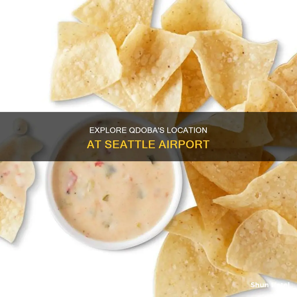 where is qdoba in seatac airport