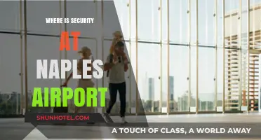 Security Screening at Naples Airport: Where and How?