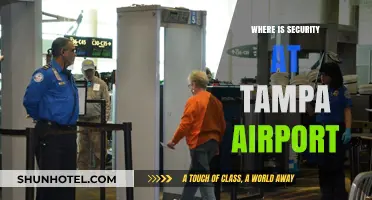 Tampa Airport Security: What You Need to Know