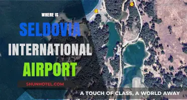 Discovering Seldovia International Airport: Location and Travel Guide