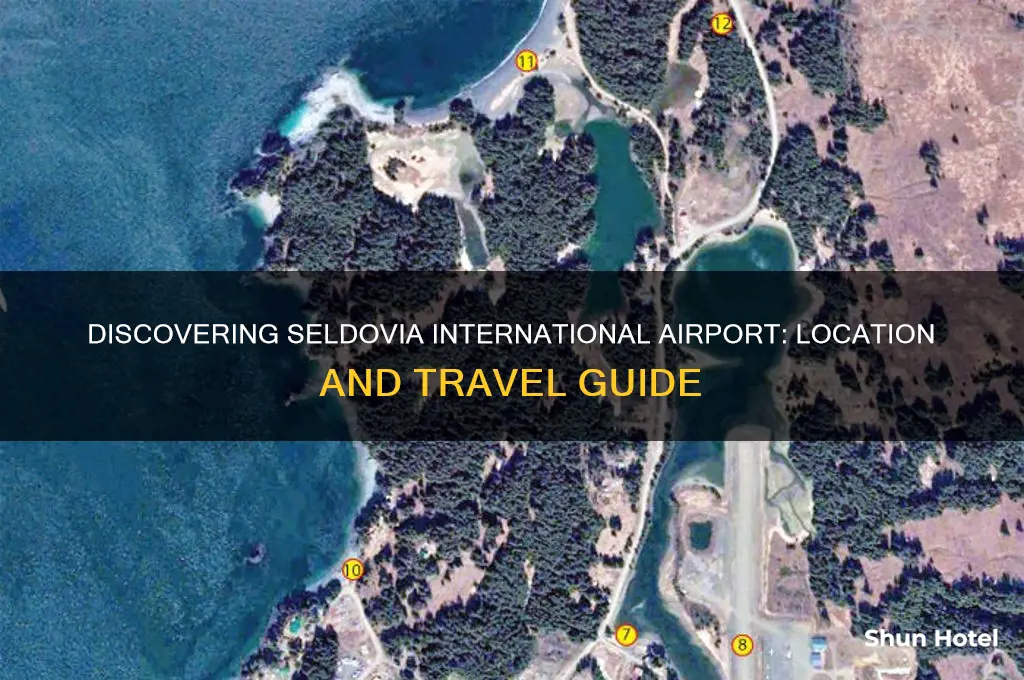 where is seldovia international airport
