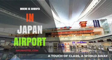 Shibuya's Location: A Guide to Japan's Airports