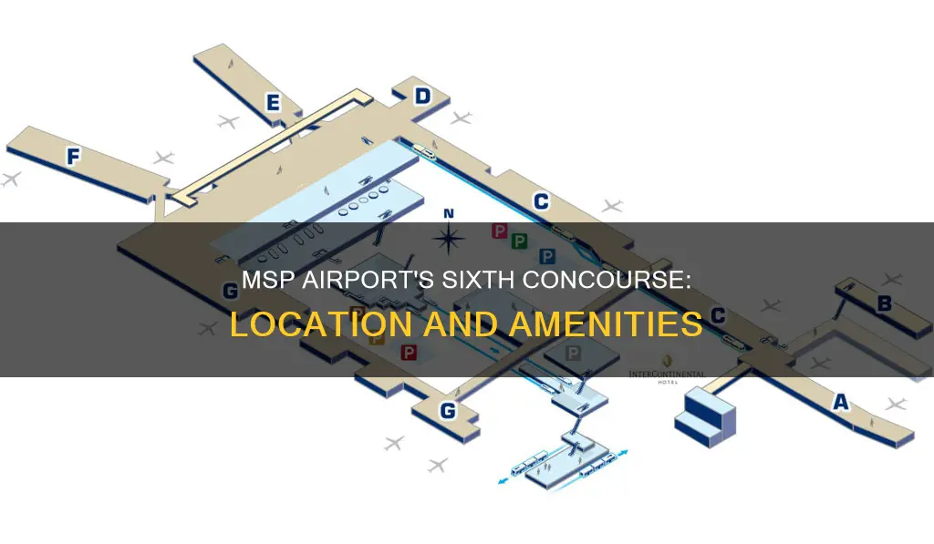 where is sixth at msp airport