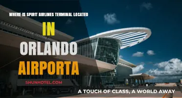 Exploring Orlando: A Guide to Spirit Airlines' Terminal Location
