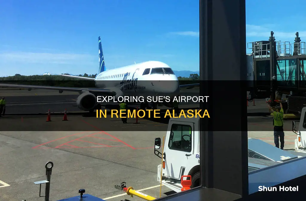 where is sues airport in alaska